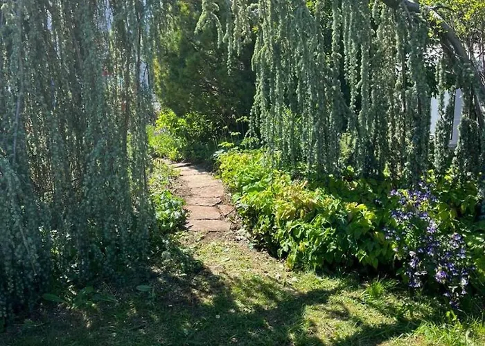 Hidden Gem Close To Interlaken And Hiking * Wimmis